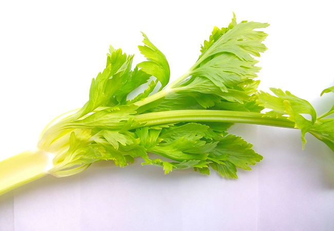 Celery